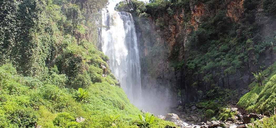 Thomson's Falls Guide